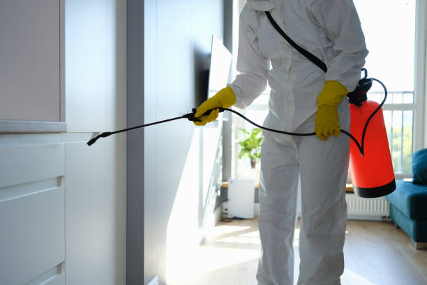 Trusted La Pine, OR Mold Remediation Experts
