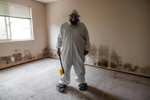Professional Mold Remediation in La Pine, OR